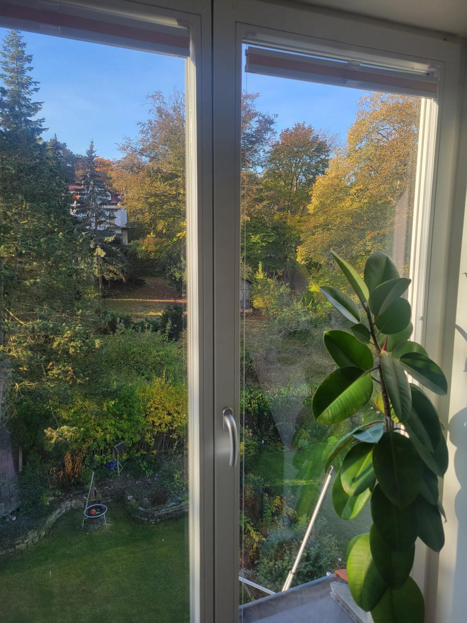 Wohnen Am Steiger In Erfurt Sued Apartment Luaran gambar